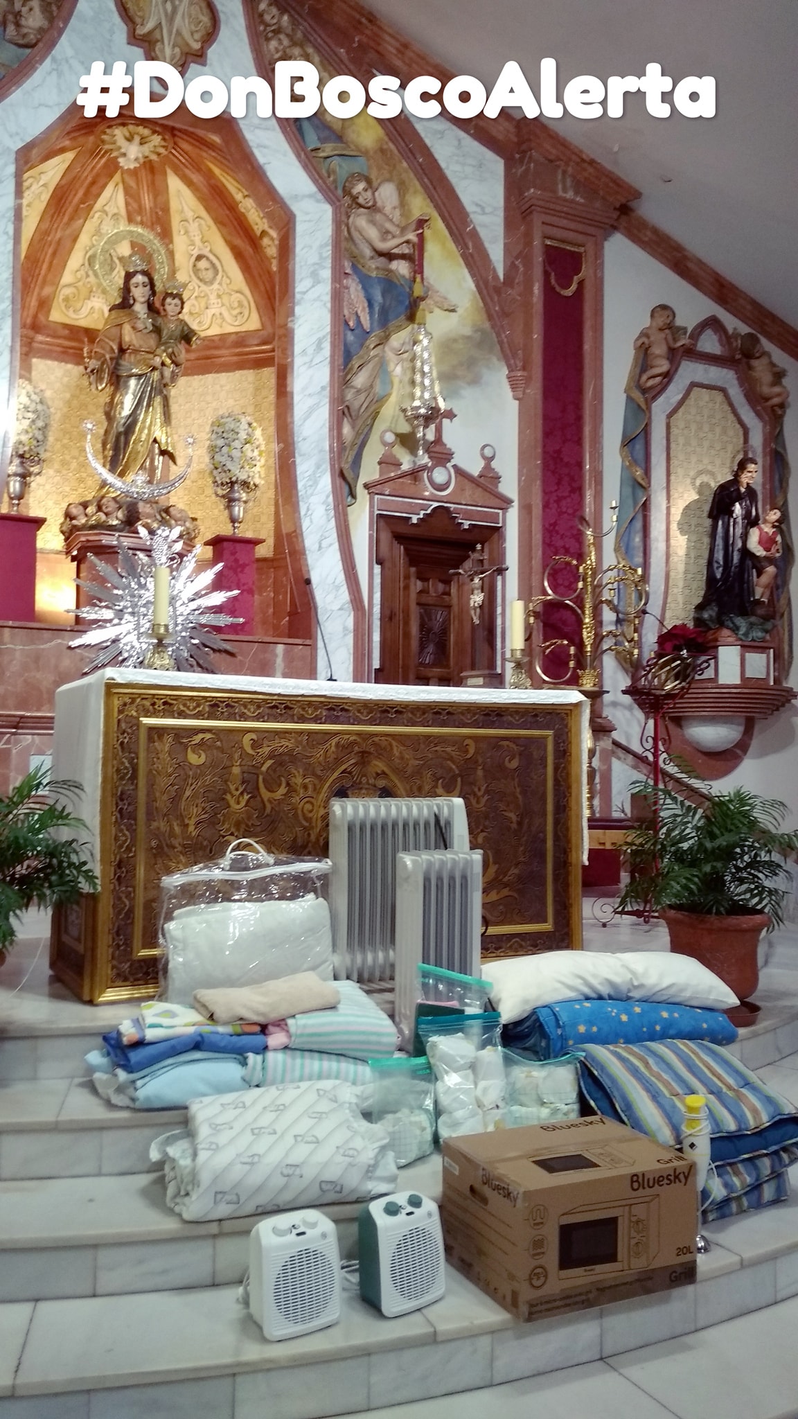alerta don bosco web
