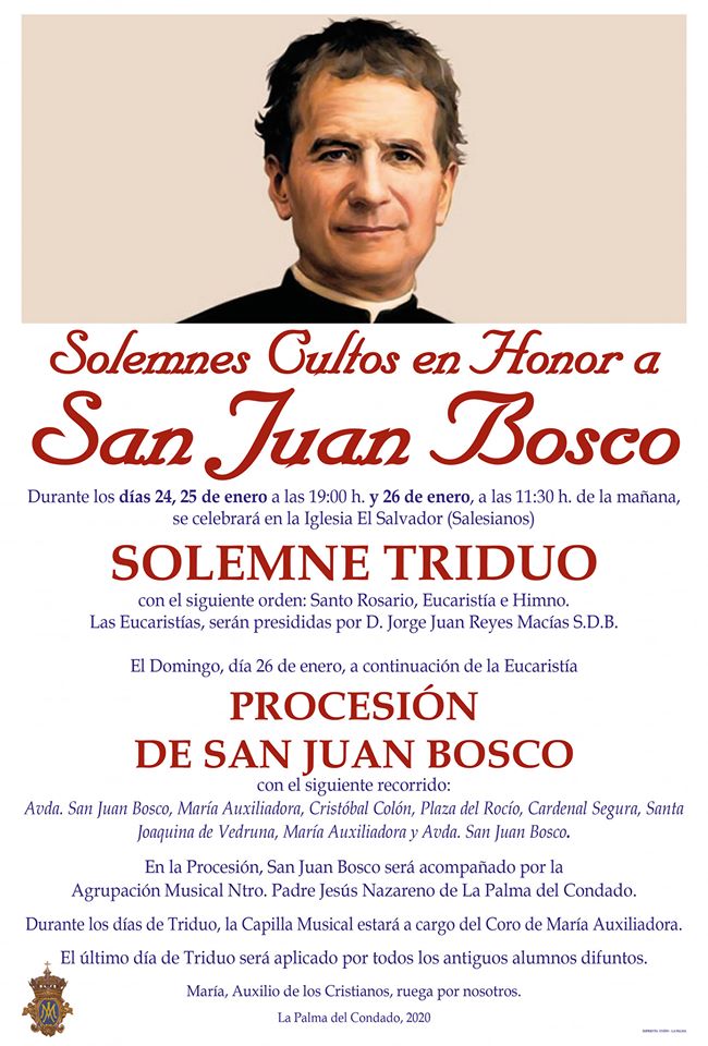 fiestas de don bosco
